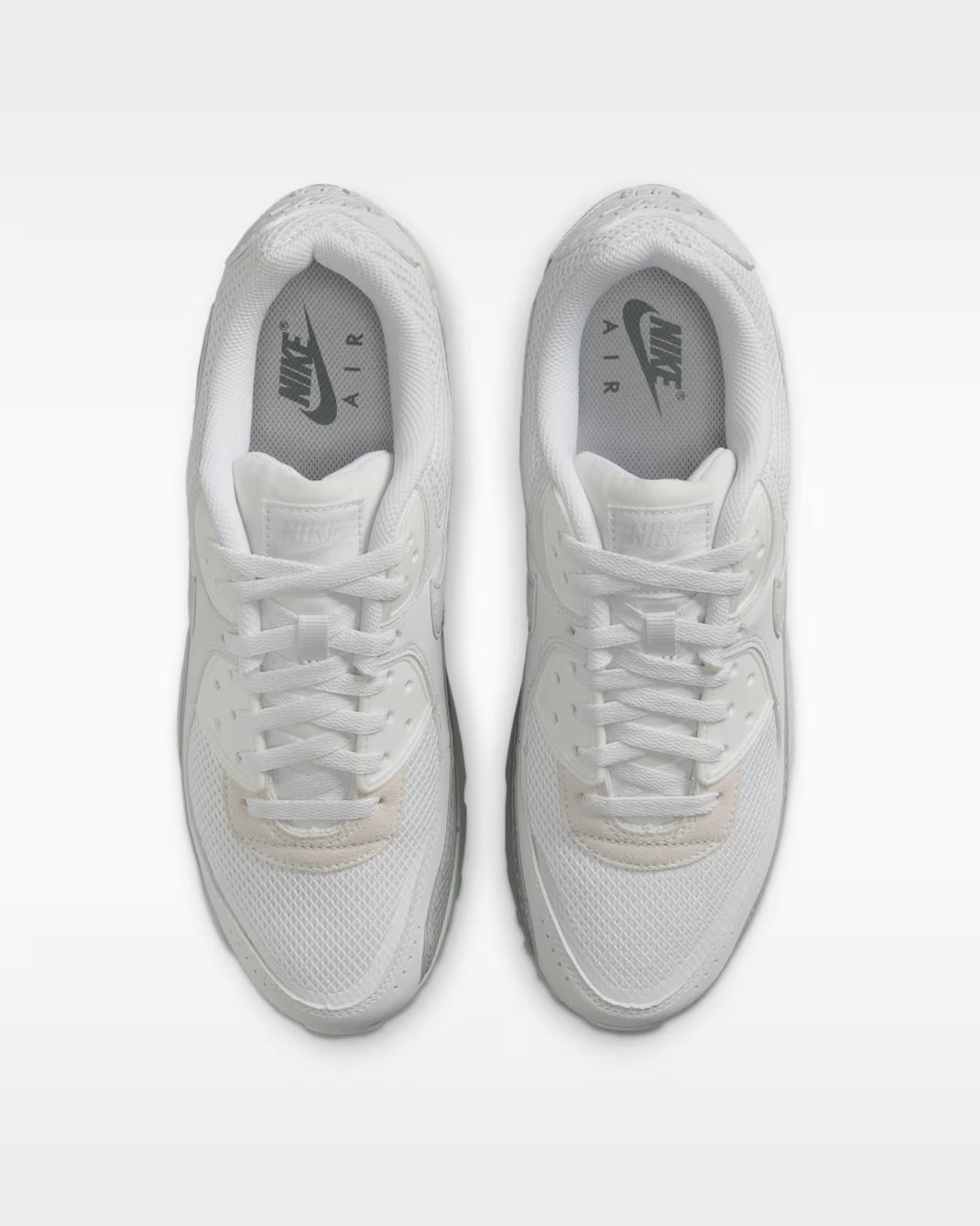 Wolf Grey